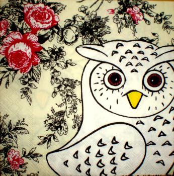 075 Owls - 3-ply (cream) - Click / Ihr - CS